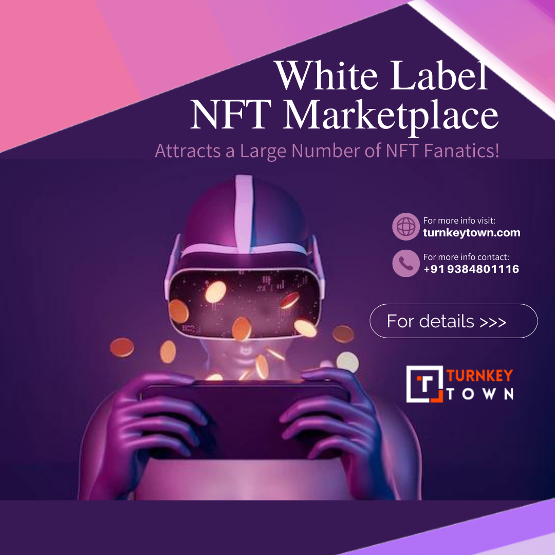 why-white-label-nft-marketplace-is-important-for-your-venture